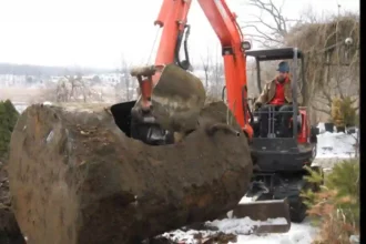 Oil Tank Removal